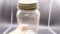 Vintage Mason Jar Metal Lid